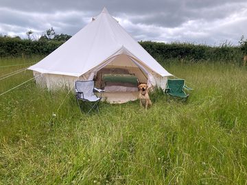 Dog-friendly camping