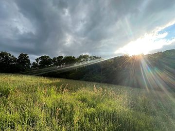 Camping field at sunset