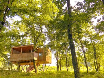 Cabin between forest and vineyard