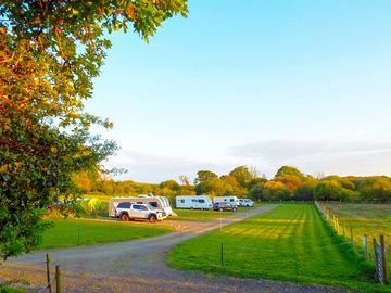 Fully serviced pitches