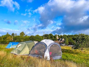Visitor image of the site
