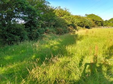 The paddock pitches (added by manager 18 Jul 2021)