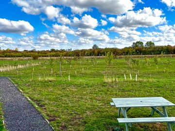 Outdoor Bench with orchard view Coco Pod