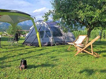 Pet-friendly space where your furry friends are always welcome