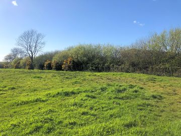 Grassy pitches