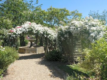 The walled garden