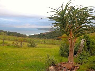 Spacious grassy pitch with indian ocean views