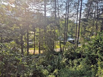 View looking down on the site