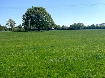 Grass pitches