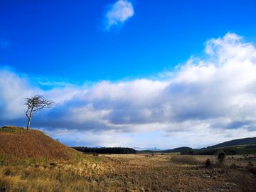 Views over the site