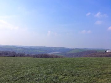 The view