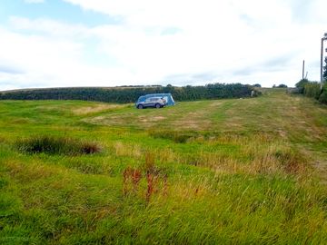 Large spaces available, great for dogs to roam under supervision of course, great also for groups.