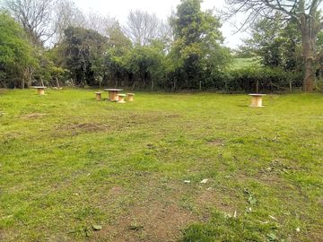 Grassy pitches