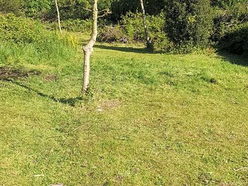 Semi woodland camping area