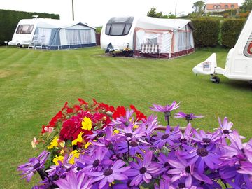 Grass areas between pitches