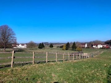 Grassy paddock view
