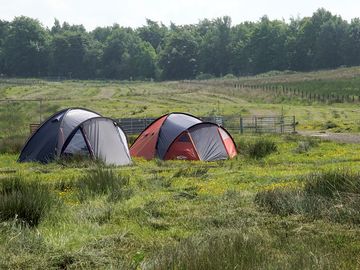 Wild camping area
