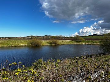 Lagoon on the farm