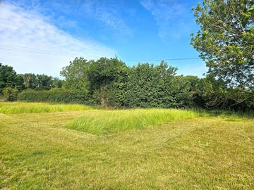 Pitches are backed by native hedgerows and trees