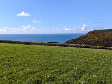 View from a walk towards the cliff