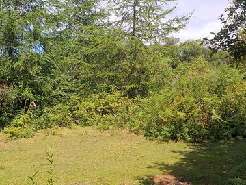 Camping area