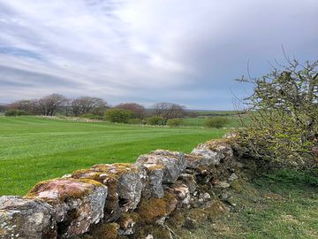 More dry stone walls