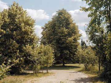 Track to the camping field