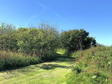 Around the site