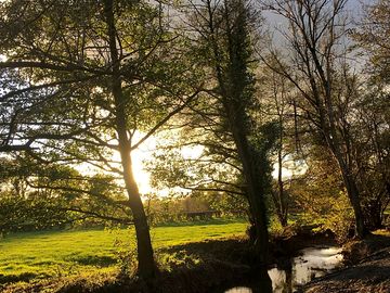 River and woodland