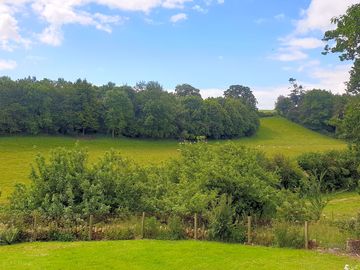 View over the site
