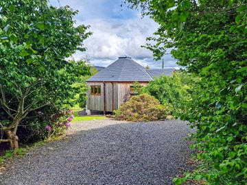 Driveway to silver birch