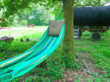 Relax in the hammock