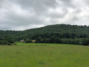 View from the site to coaley wood