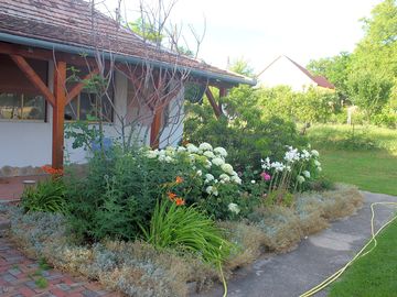 Surrounded by greenery