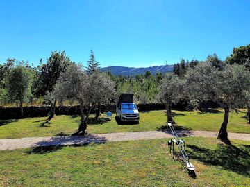 Camping