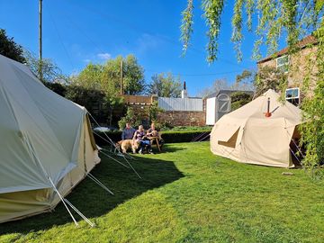 Willow tree garden