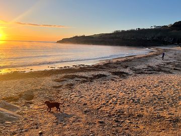 Maenporth beach