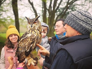 Wildlife-rich area