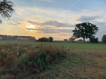 Waking view in the morning
