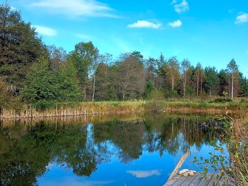 Swimming pond
