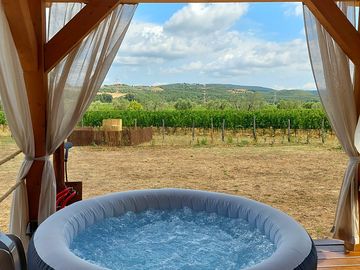 Hot tub with vineyard views