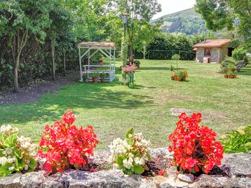View of the garden