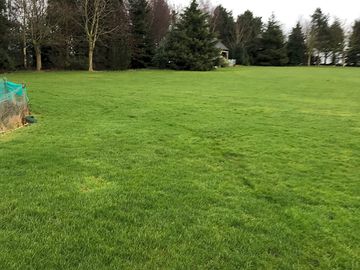 Electric pitches