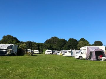 Large pitches and ample space