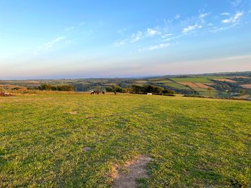 The view from the site