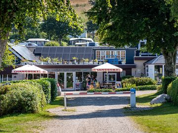 Reception, café and shop, terrace
