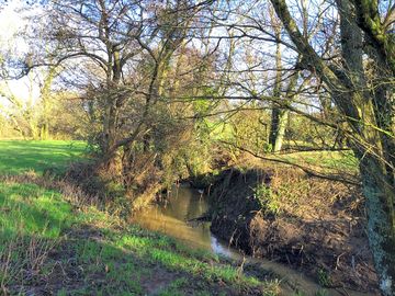The river char
