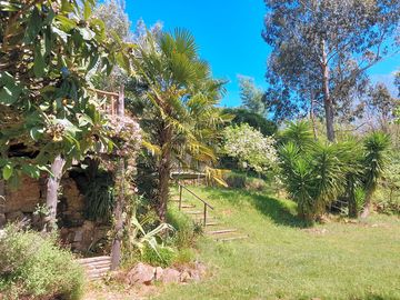 Garden leading to trampoline
