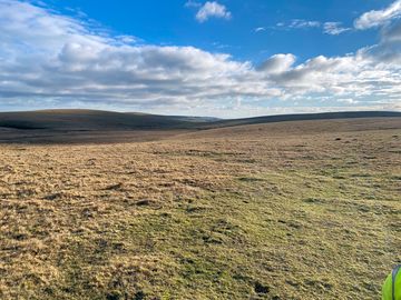 Open moorland access