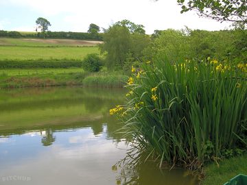 Onsite fishing waters